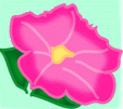 7月の花