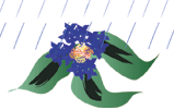 6月素材