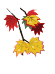 11月の素材